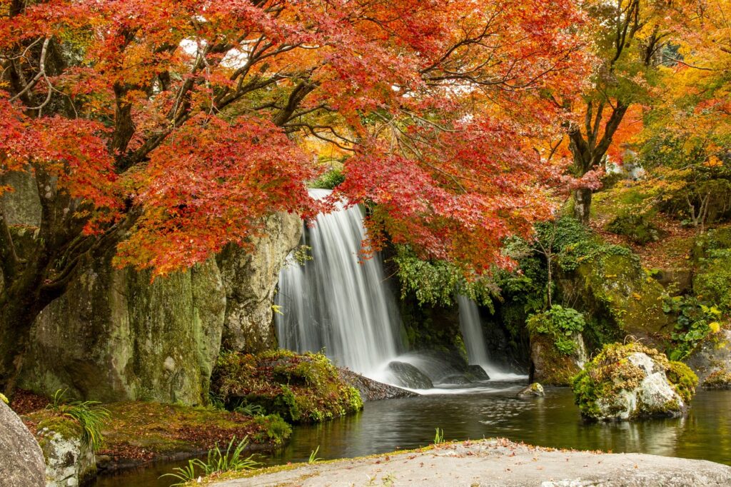 美容家が推奨するサプリの定期コースはどれが最適？