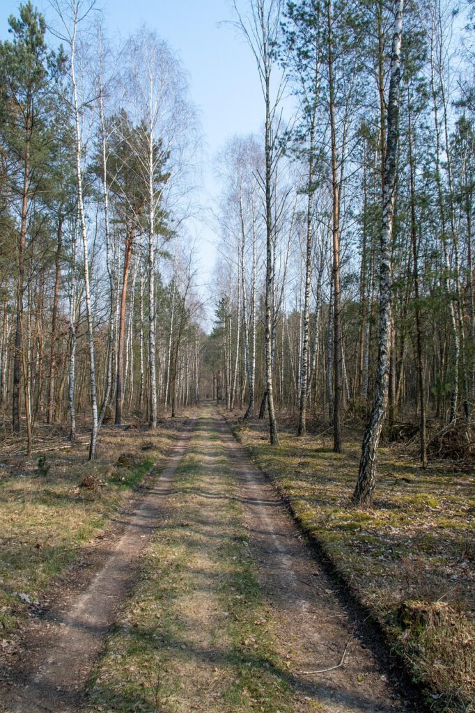 美容家が教えるサプリのスタッキング方法とは？