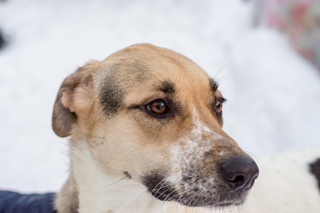 乳酸菌を活用した美肌と腸活で便秘解消する方法は？