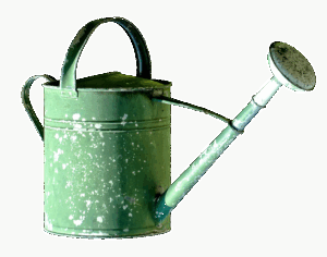 亜鉛を含む美肌に効果的なサプリのおすすめは？