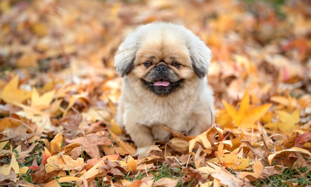 美容家がおすすめするサプリの継続期間はどのくらい？