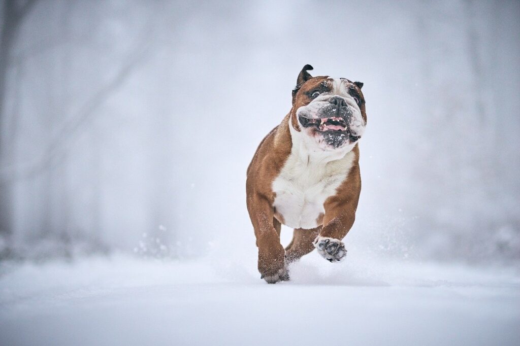 美白サプリの口コミで信頼できる商品はどれ？