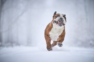 美白サプリの飲み方は正解なのか？