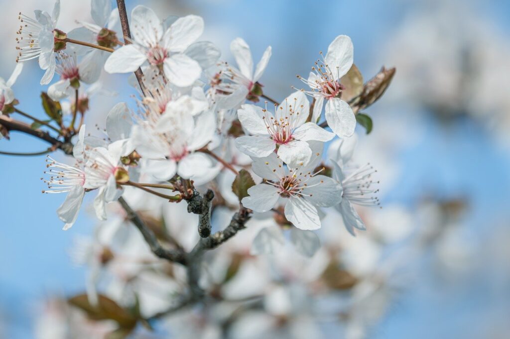 美白サプリを継続する期間はどのくらいが理想ですか？