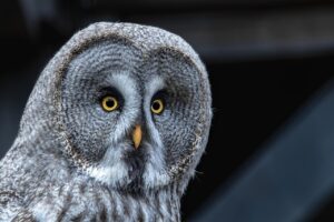 美容サプリの選び方はどうすれば失敗しない？